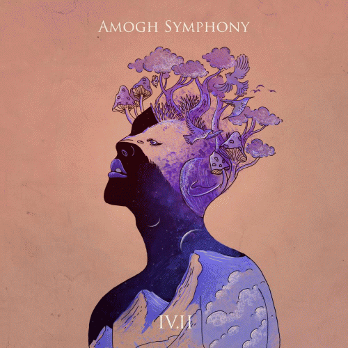 Amogh Symphony : IV.II